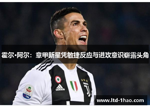 霍尔·阿尔：意甲新星凭敏捷反应与进攻意识崭露头角