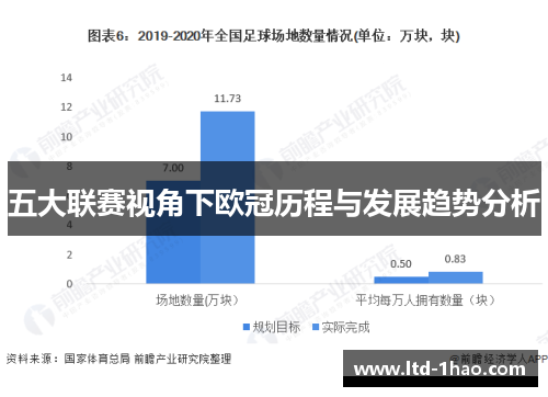 五大联赛视角下欧冠历程与发展趋势分析