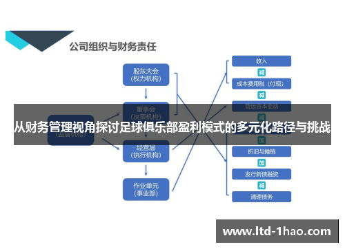 从财务管理视角探讨足球俱乐部盈利模式的多元化路径与挑战
