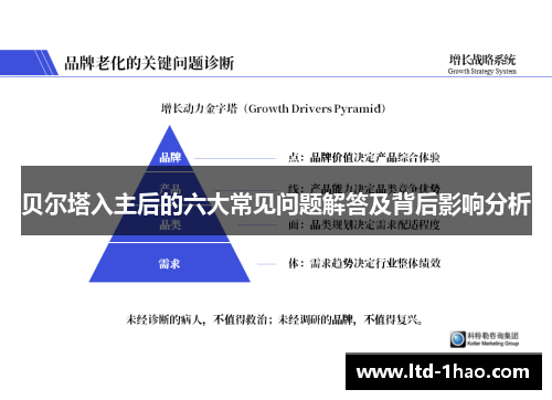 贝尔塔入主后的六大常见问题解答及背后影响分析