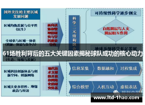 61场胜利背后的五大关键因素揭秘球队成功的核心动力