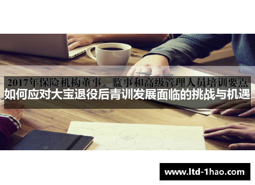 如何应对大宝退役后青训发展面临的挑战与机遇