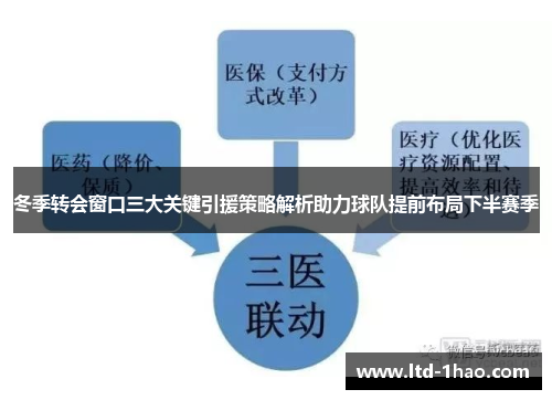 冬季转会窗口三大关键引援策略解析助力球队提前布局下半赛季