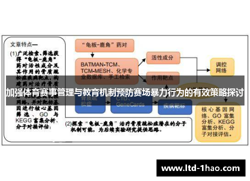 加强体育赛事管理与教育机制预防赛场暴力行为的有效策略探讨