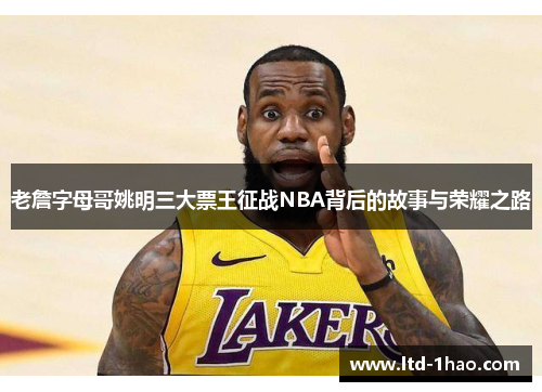 老詹字母哥姚明三大票王征战NBA背后的故事与荣耀之路