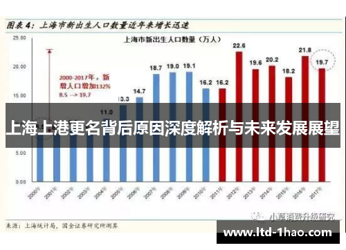 上海上港更名背后原因深度解析与未来发展展望