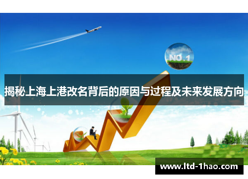 揭秘上海上港改名背后的原因与过程及未来发展方向