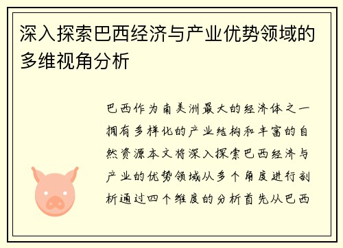 深入探索巴西经济与产业优势领域的多维视角分析