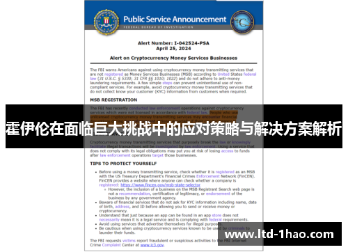 霍伊伦在面临巨大挑战中的应对策略与解决方案解析